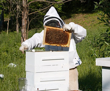 Elbow Room (in the hive)