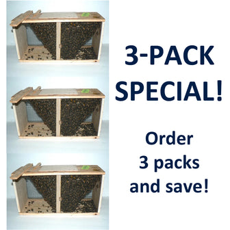 3-PACK SPECIAL of Package Bees