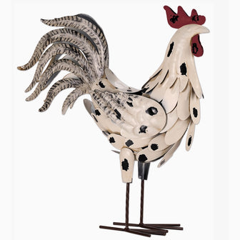White Rooster