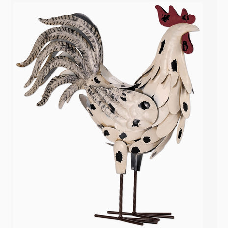 White Rooster