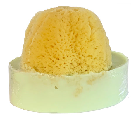 Key Lime Soap with Embedded Sea Sponge