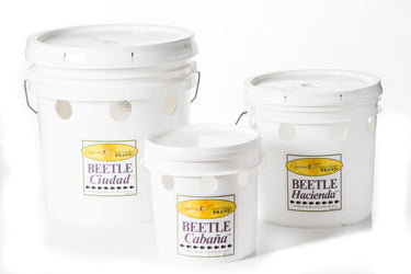 Beetle Buckets