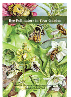Bee Pollinators in Your Garden