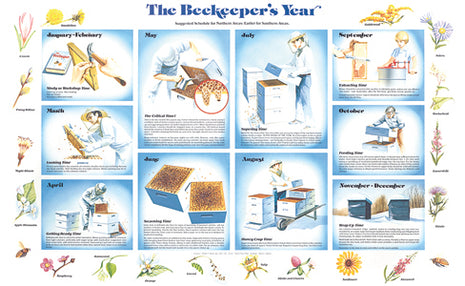 The Beekeeper's Year