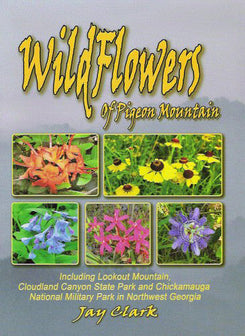 Wildflowers of Pigeon Mountain