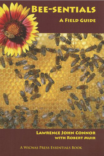 Bee-sentials: A Field Guide