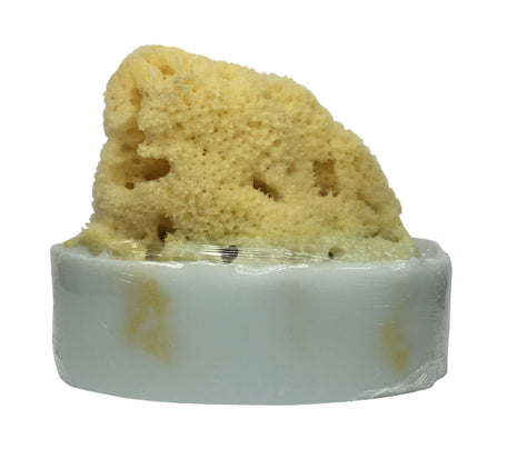 Aegean Sea Soap with Embedded Sea Sponge