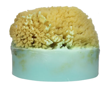 Egyption Musk Soap with Embedded Sea Sponge