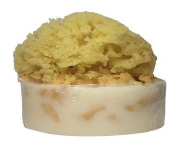 Milk and Honey Soap with Embedded Sea Sponge