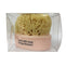 Cucumber Melon Soap with Embedded Sea Sponge